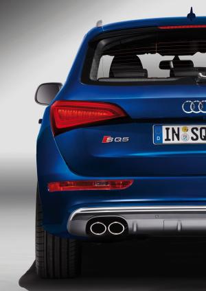 Audi SQ5 TDI 2013 года  (WW)